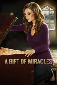 A Gift of Miracles