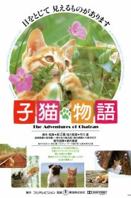 子猫物语