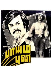 Paayum Puli